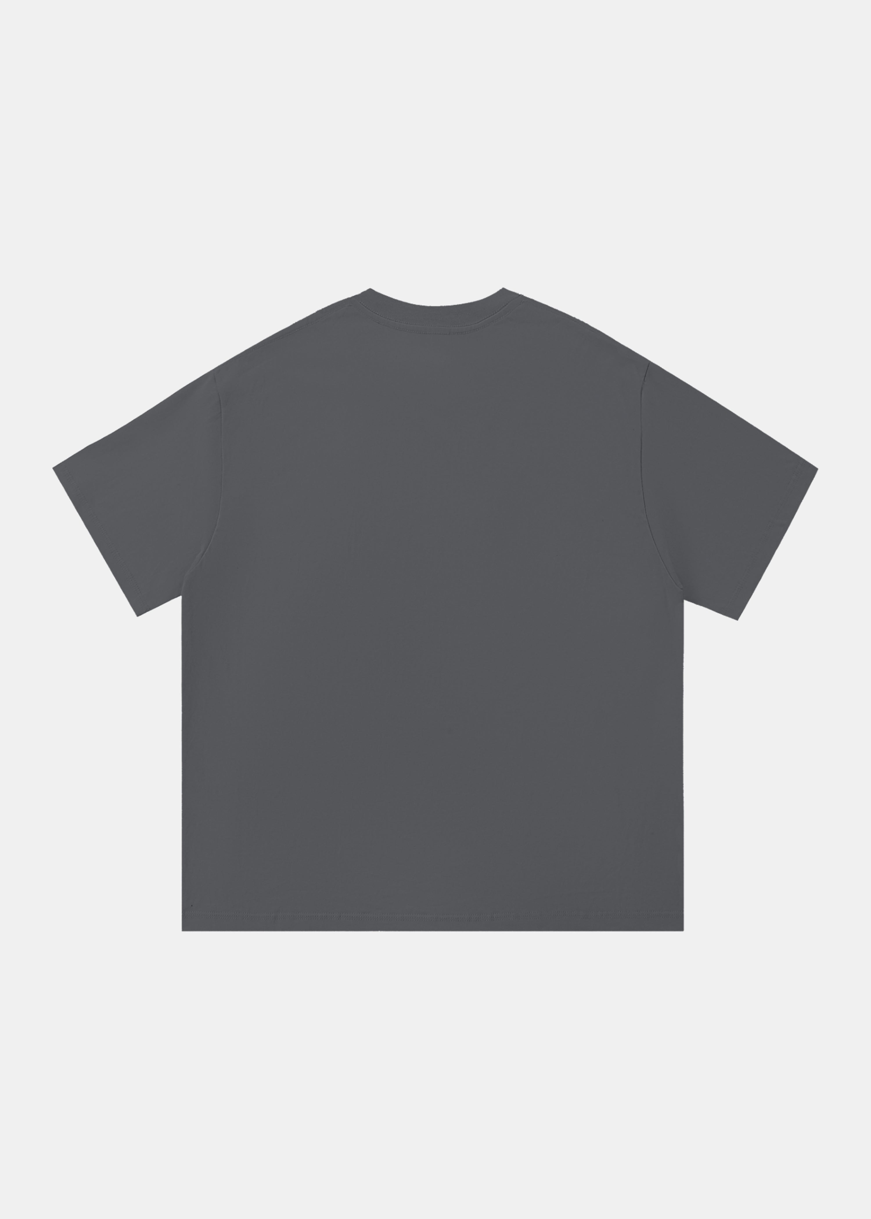 Find Quiet tiger tee in grey by Ransom Supply, back