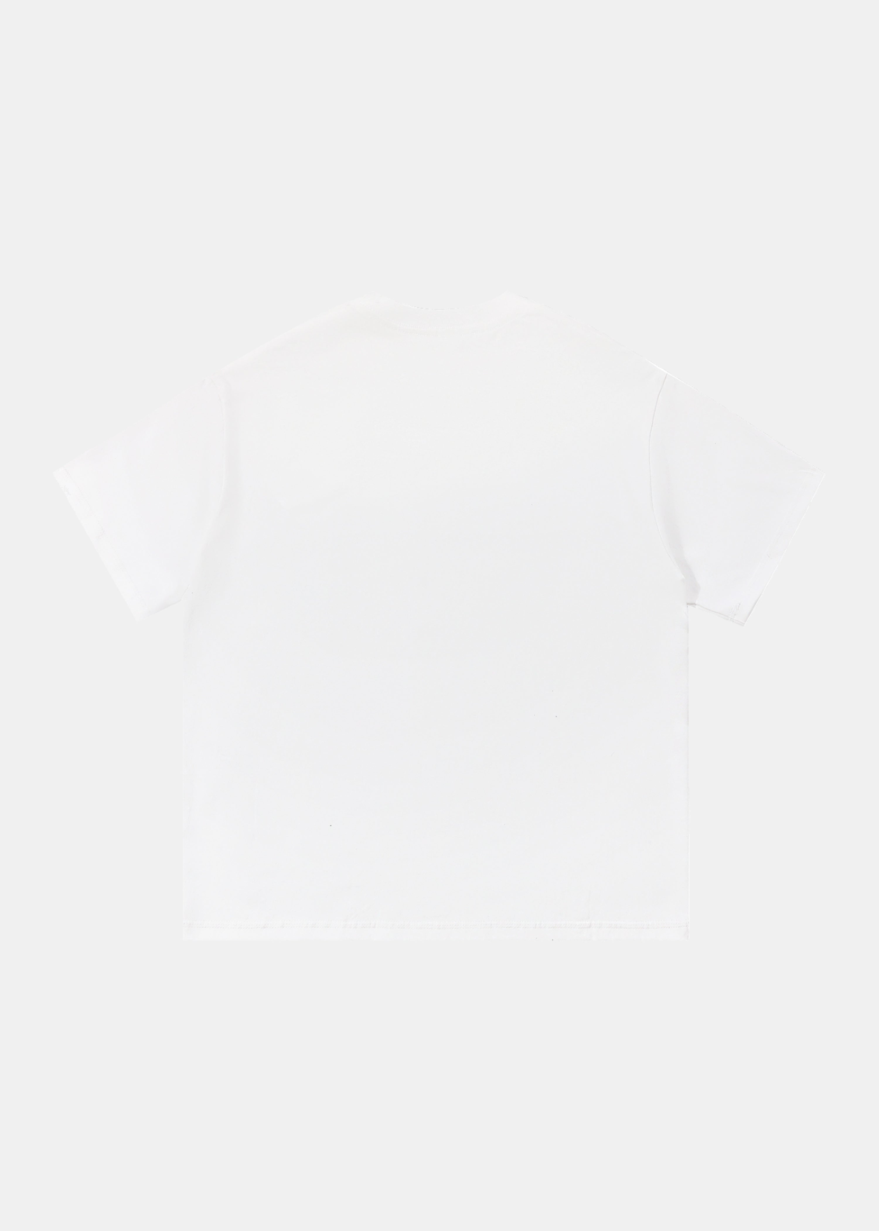 Tectonic Turbulence tee by Ransom Supply, back